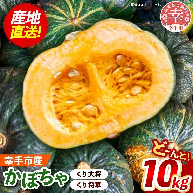 【きあり農園】2026年度 幸手市産 かぼちゃ 約10kg - カボチャ 南瓜 くり大将 くり将軍 産地直送
