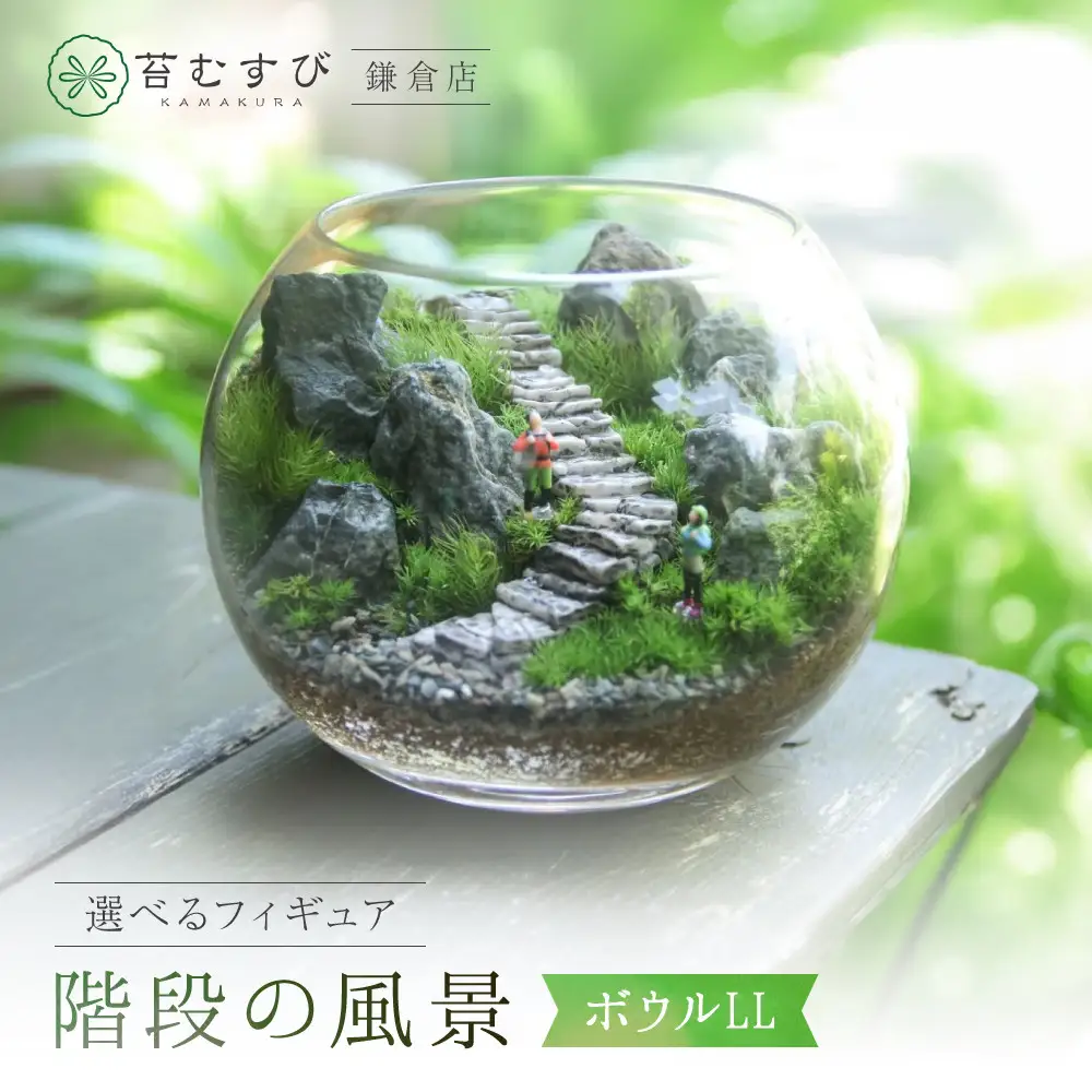 《苔テラリウム・コケリウム》階段の風景 ボウルLL