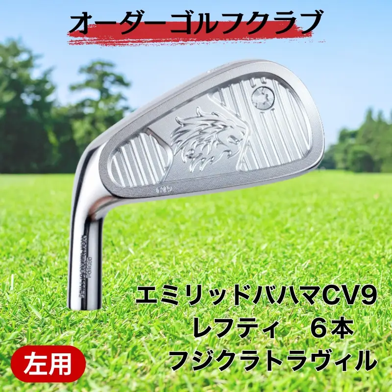 ゴルフ ゴルフクラブ エミリッドバハマCV9アイアンセット フジクラトラヴィル レフティ(左用) オーダーメイド アイズファクトリー｜F68