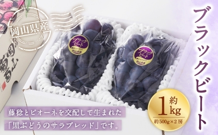 岡山県産 ブラックビート 約1kg （ 約500g×2房 ） ぶどう ブドウ 葡萄 くだもの 果物 果実 フルーツ 国産 黒ぶどう 【 2026年8月上旬～9月上旬発送予定 】