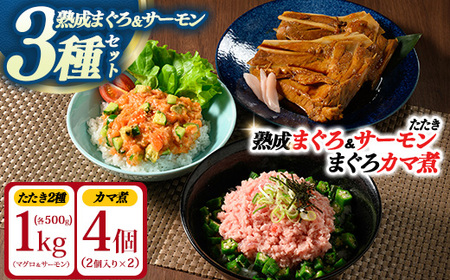 【県水の熟成まぐろ】漁師作りプレミアム、熟成サーモンたたき、まぐろカマ煮詰め合わせセット（まぐろたたき、サーモンたたき各500g×1、まぐろカマ煮2個入り×2） | 高品質 鮪 まぐろ 脂 たたき まぐろのたたき メバチ キハダ 寿司 すし 海鮮 小分け 海鮮丼 手巻き寿司 神奈川 相模原
