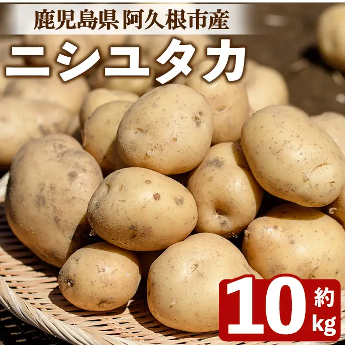 じゃがいも ニシユタカ(10kg) 国産 鹿児島県産 阿久根市産 じゃがいも ジャガイモ 芋 ポテト にしゆたか 野菜 期間限定 数量限定 ポテトサラダ コロッケ 常温 常温配送 【慶越農園】akn107-10