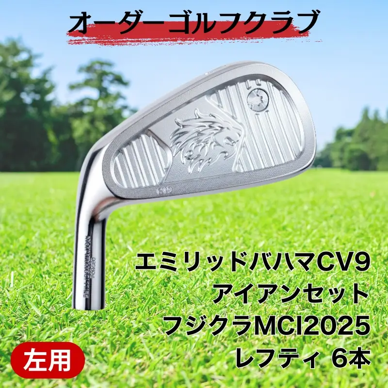 ゴルフ ゴルフクラブ エミリッドバハマCV9アイアンセット フジクラMCI2025 レフティ(左用) オーダーメイド アイズファクトリー｜F69