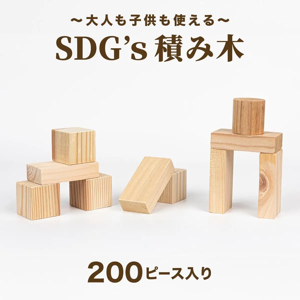 大人も子供も使えるSDg’ｓ積み木