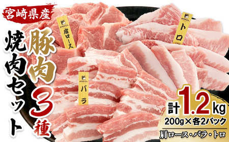 宮崎県産 豚肉 焼肉 3種食べ比べセット 合計1.2kg (肩ロース・バラ・豚トロ) 200g×6パック 真空小分けパック 冷凍 国産 送料無料