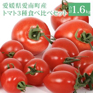 トマト3種食べ比べ アイコ ラブリーさくら フルティカ 約1.6kg 大瀧農園 トマト 完熟トマト 野菜 産地 直送 人気 国産 愛媛県 愛南町 発送期間：2026年3月1日～7月頃まで（※なくなり次第終了）