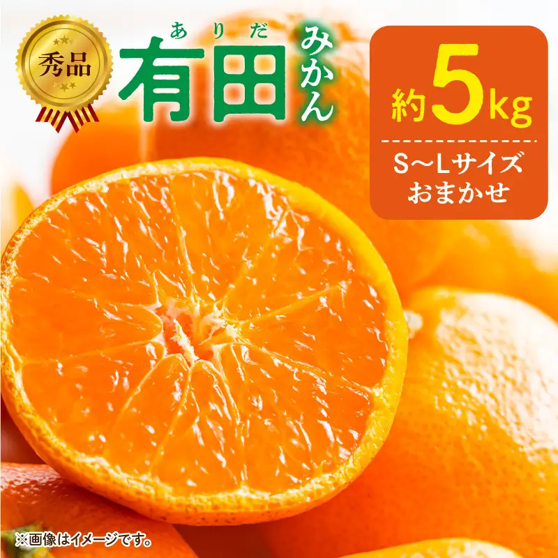 【2027年1月発送】秀品 有田みかん 和歌山県産 S～Lサイズ 大きさお任せ 約5kg_DZ6013n_01
