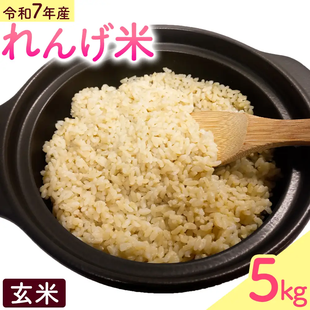 熊本県菊池市産のれんげ米 5kg 《30日以内に出荷予定(土日祝除く)》  精米方法 玄米 お米 レンゲ米 熊本県産 九州産 送料無料