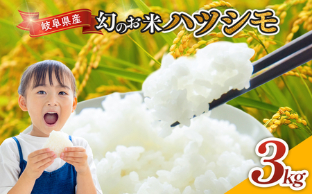 令和7年産 岐阜県産 ハツシモ 3kg | 米 ハツシモ