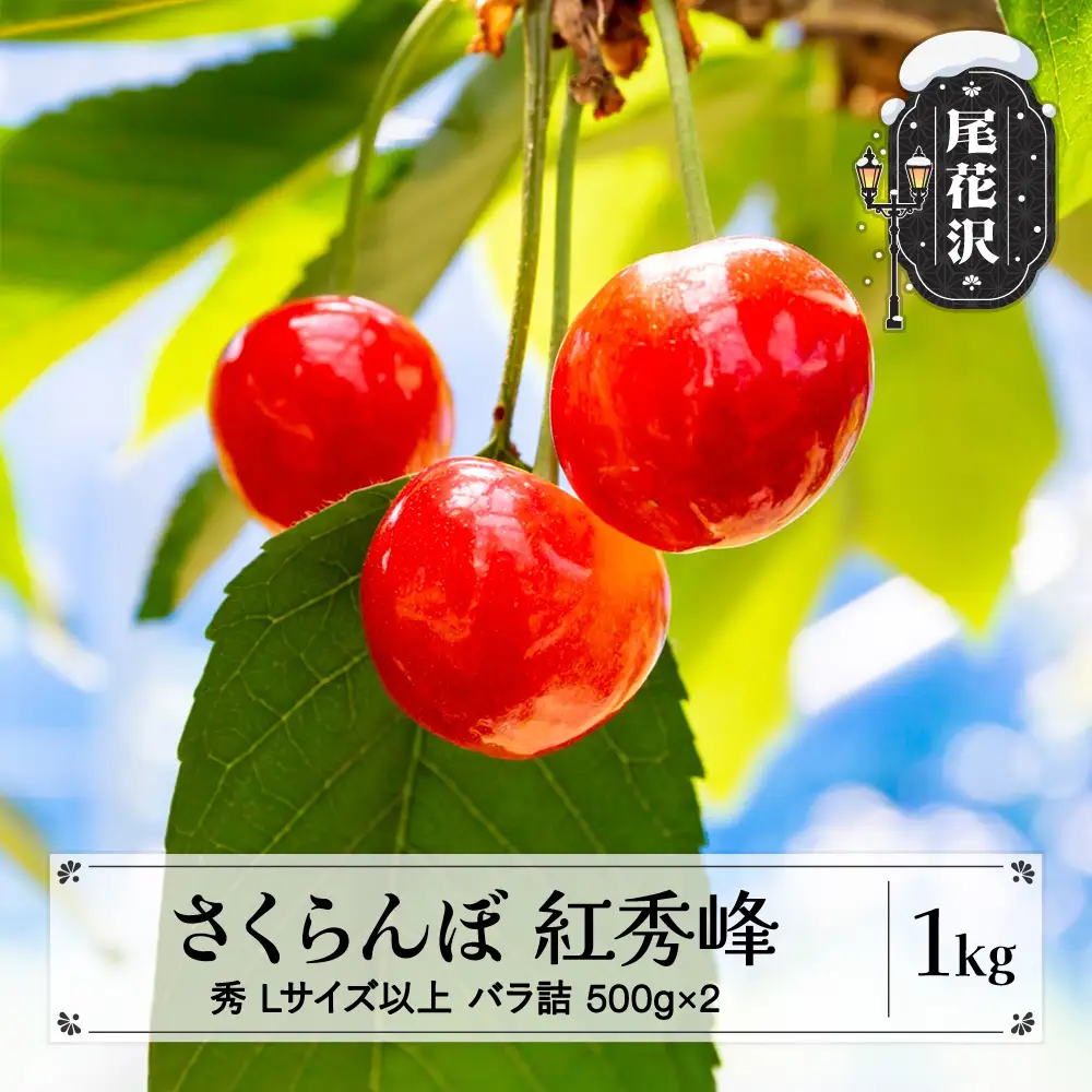 さくらんぼ 紅秀峰 1kg(500g×2) L以上 秀品 sb-bsslx1000