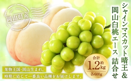 岡山県産 岡山白桃 エース 3Lサイズ 約300g×2玉・ シャインマスカット 晴王 約600g×1房 詰合せ 白桃 モモ もも 桃 ぶどう ブドウ 葡萄 マスカット くだもの 果物 果実 フルーツ 国産 家庭用 ギフト 贈り物 贈答 【 2026年7月上旬～8月下旬発送予定 】