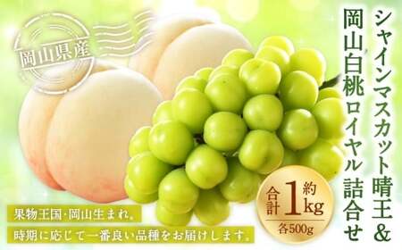 岡山県産 岡山白桃 ロイヤル 2Lサイズ 約250g×2玉・ シャインマスカット 晴王 約500g×1房 詰合せ 白桃 モモ もも 桃 ぶどう ブドウ 葡萄 マスカット くだもの 果物 果実 フルーツ 国産 家庭用 ギフト 贈り物 贈答 【 2026年7月上旬～8月下旬発送予定 】