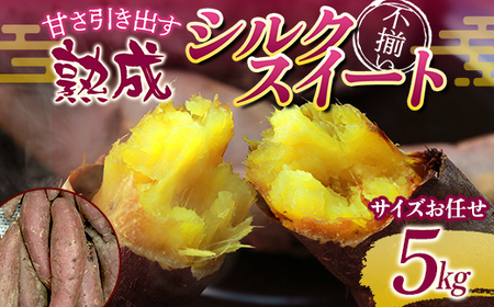 甘さ引き出す 不揃い 熟成シルクスイート 5kg さつまいも サイズお任せ サツマイモ さつま芋 甘い おやつ 食品  F21T-473