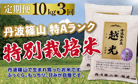 定期便 コシヒカリ 特別栽培米【 10kg 3回 】定期便