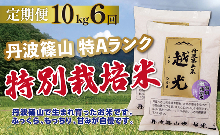 定期便 コシヒカリ 特別栽培米【 10kg 6回 】定期便