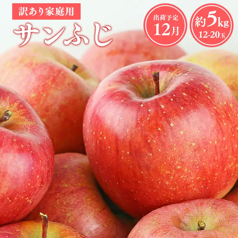 りんご 家庭用 サンふじ約5kg  [hi-0038-003-12]