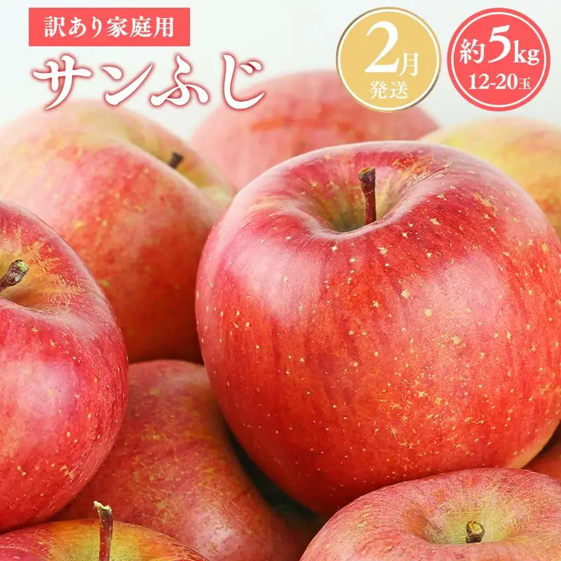 りんご 家庭用 サンふじ約5kg 青森県平川市産 [hi-0038-003-2]