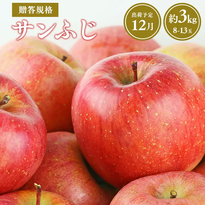 りんご 贈答用 サンふじ約3kg  青森県平川市産 [hi-0038-007-12]