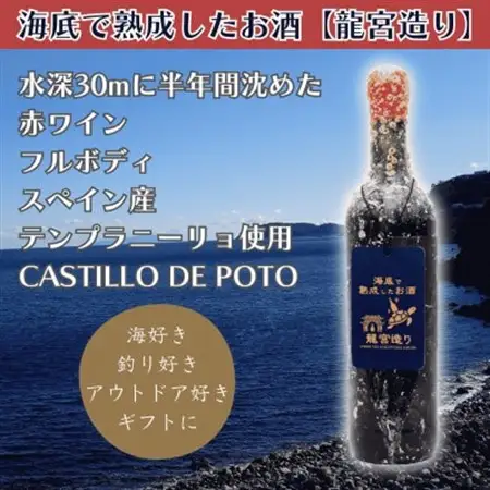 【海底に半年沈めて熟成した赤ワイン】フルボディ CASTILLO DE POTO 750ml #12【1719216】
