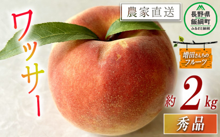 ワッサー 秀品 約 2kg 増田ファーム 配送先は本州限定 2026年8月上旬頃から2026年9月下旬頃まで順次発送予定 令和8年度収穫分 信州 果物 フルーツ ワッサー 桃 長野 予約 農家直送 長野県 飯綱町 [1820]