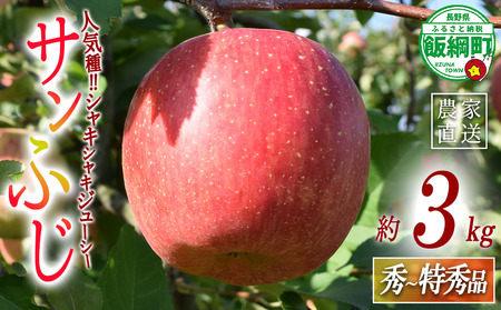 りんご サンふじ 秀 〜 特秀 3kg 増田ファーム 沖縄県への配送不可 2026年11月下旬頃から2027年1月上旬頃まで順次発送予定 令和8年度収穫分 信州 果物 フルーツ リンゴ 林檎 長野 予約 農家直送 さんふじ サンフジ 長野県 飯綱町 [1966]
