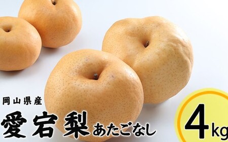 あたご梨 3～6玉 約4kg 【2026年11月下旬～12月下旬迄発送予定】 愛宕梨 梨 なし 和梨 果物 果実 フルーツ 大玉 岡山県 美咲町 常温