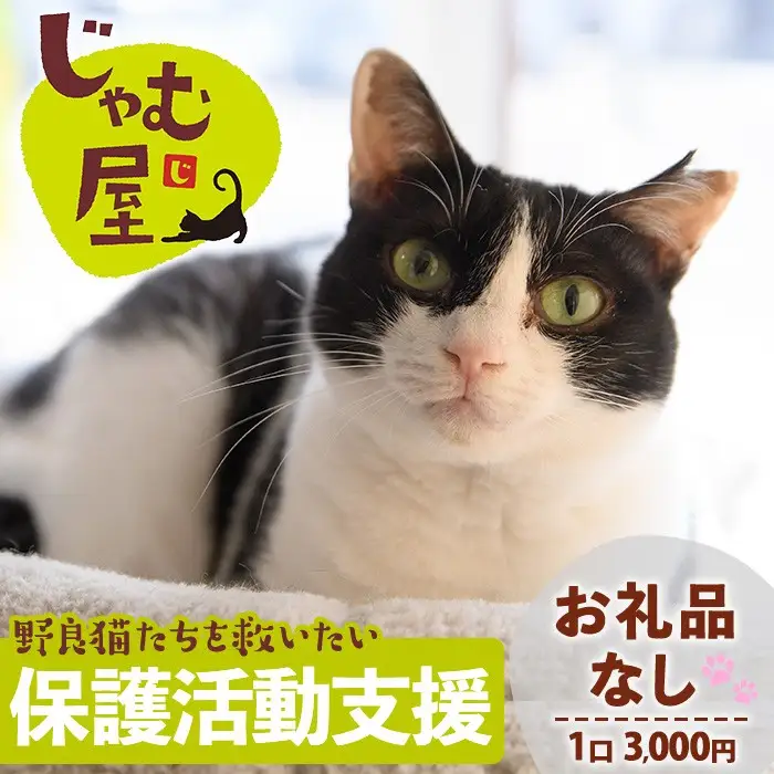≪お礼品なし≫保護猫 活動支援(1口：3,000円) 猫 ねこ ネコ 地域猫 野良猫 のらねこ さくら猫 保護 支援 保護猫活動 里親 動物保護 保護活動支援 ペット保護 支援活動 返礼品なし ボランティア活動 医療費 エサ代 TNR活動 去勢 【じゃむ屋】assn15-008