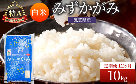 お米 みずかがみ 10kg 精米 定期12回 お米