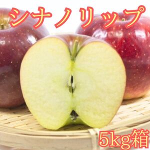 シナノリップ 5kg箱＜8月中旬より発送＞