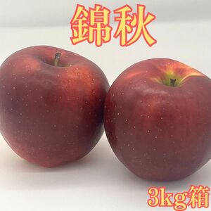 錦秋(きんしゅう) 3kg箱 ＜9月下旬より発送＞