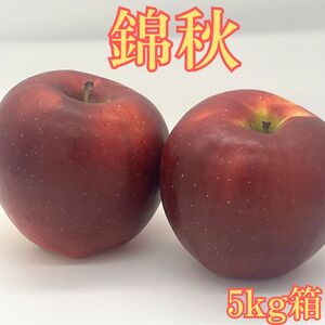 錦秋(きんしゅう) 5kg箱 ＜9月下旬より発送＞