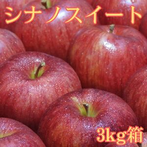 シナノスイート 3kg箱 ＜10月中旬より発送＞