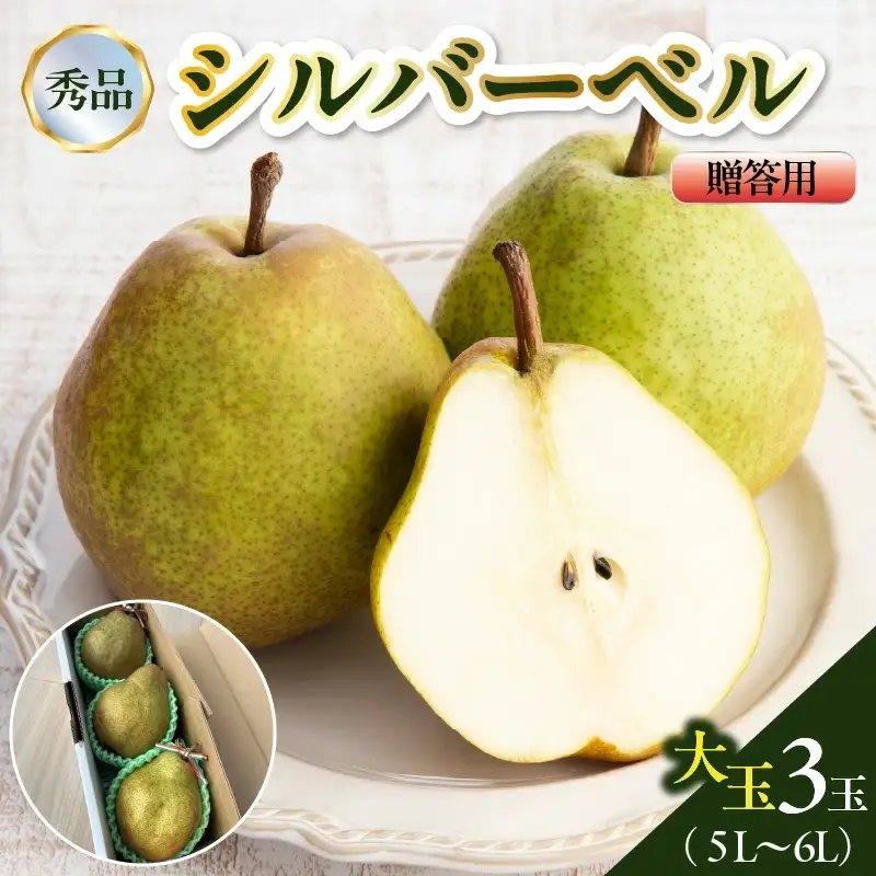 西洋梨（シルバーベル）大玉３玉　贈答用　0142-2615