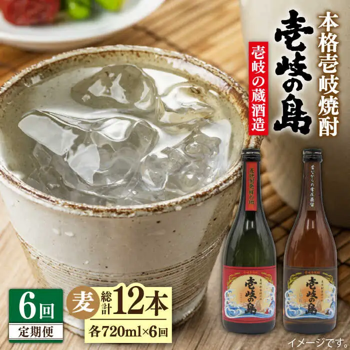 【全6回定期便】壱岐の島 伝匠 と 壱岐の島 25度 720ml 2本入りセット 《壱岐市》【天下御免】[JDB232]