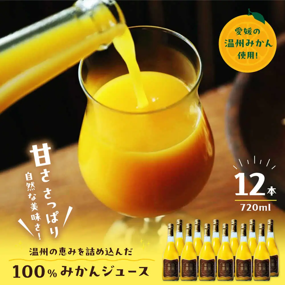 温州みかんジュース（720ml×12本）みかんジュース[AGBT024]