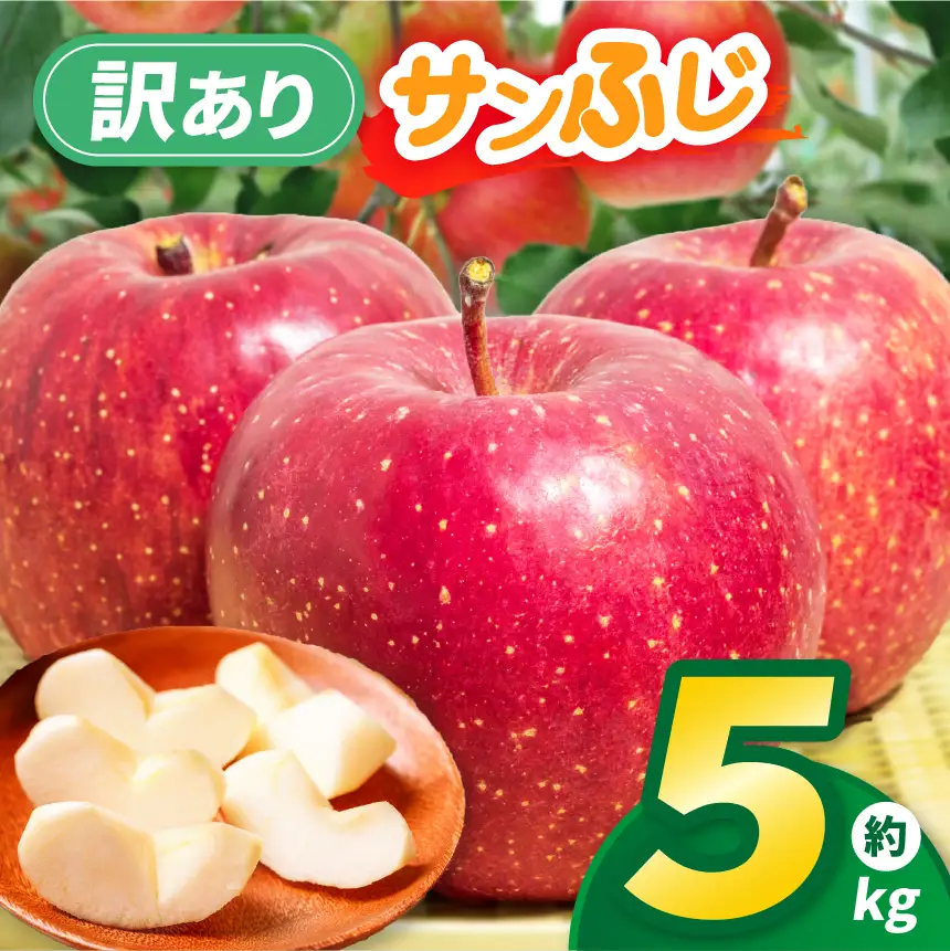 りんご 先行予約 伊那市田原産 リンゴ サンふじ 訳あり 約5kg 2026年11月中旬～発送【011-a3】