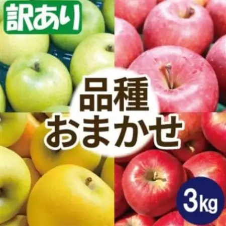 【10月～11月出荷】りんご 品種おまかせ 約3kg 訳あり【配送不可地域：離島・沖縄県】【1668105】
