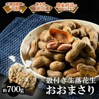 殻付き生落花生 おおまさり 約700g | らっかせい ピーナッツ おつまみ 鹿沼市 農家直送 ※2026年11月～発送