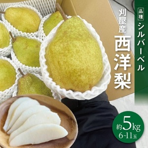 SB0904　酒田の果物専門店厳選　シルバーベル(洋梨)　約5kg(6～11玉入)
