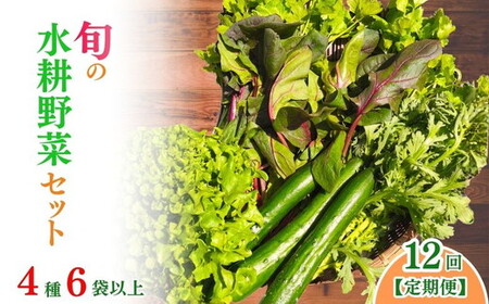 野菜 定期便12回 旬の水耕野菜セット 4種6袋以上 京都 亀岡産