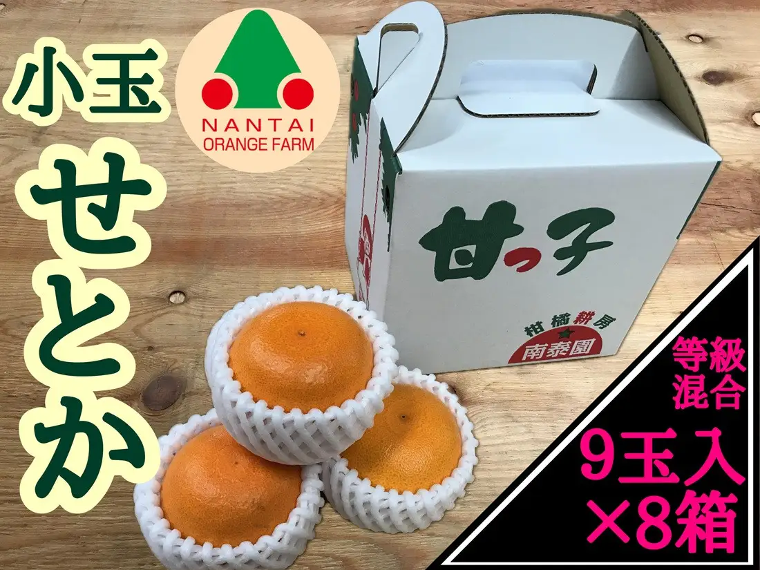 ［8箱セット］甘っ子 小玉 ハウス せとか 9玉入 × 8箱 手さげ箱 南泰園