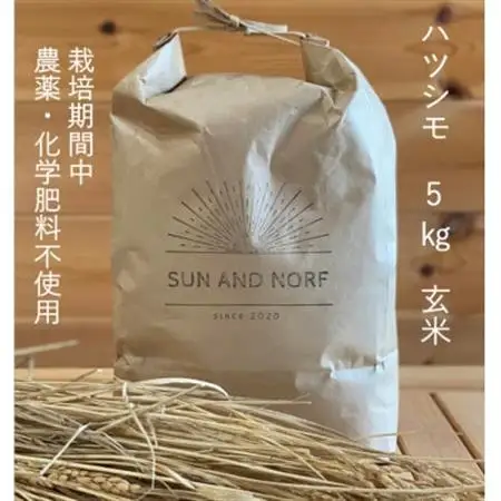 【令和7年産】初霜(源種)　玄米5kg　(栽培期間中農薬・化学肥料不使用)【1721458】