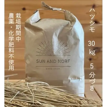 【令和7年産】初霜(源種)5分づき30kg　(栽培期間中農薬・化学肥料不使用)【1721469】