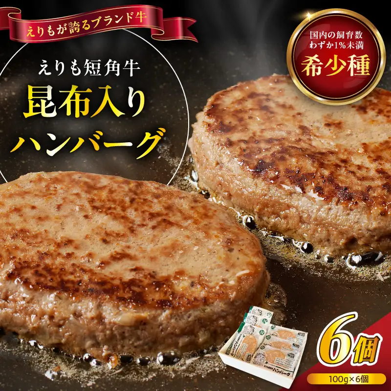 【えりも短角牛】昆布入りハンバーグ 100g×6袋【er007-027】