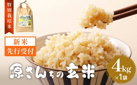 【令和8年産米先行受付】原さんちのお米 玄米 ４kg ひとめぼれ 米 お米 こめ コメ  ご飯 ヒトメボレ 常温 大分県 大分 玖珠町 玖珠