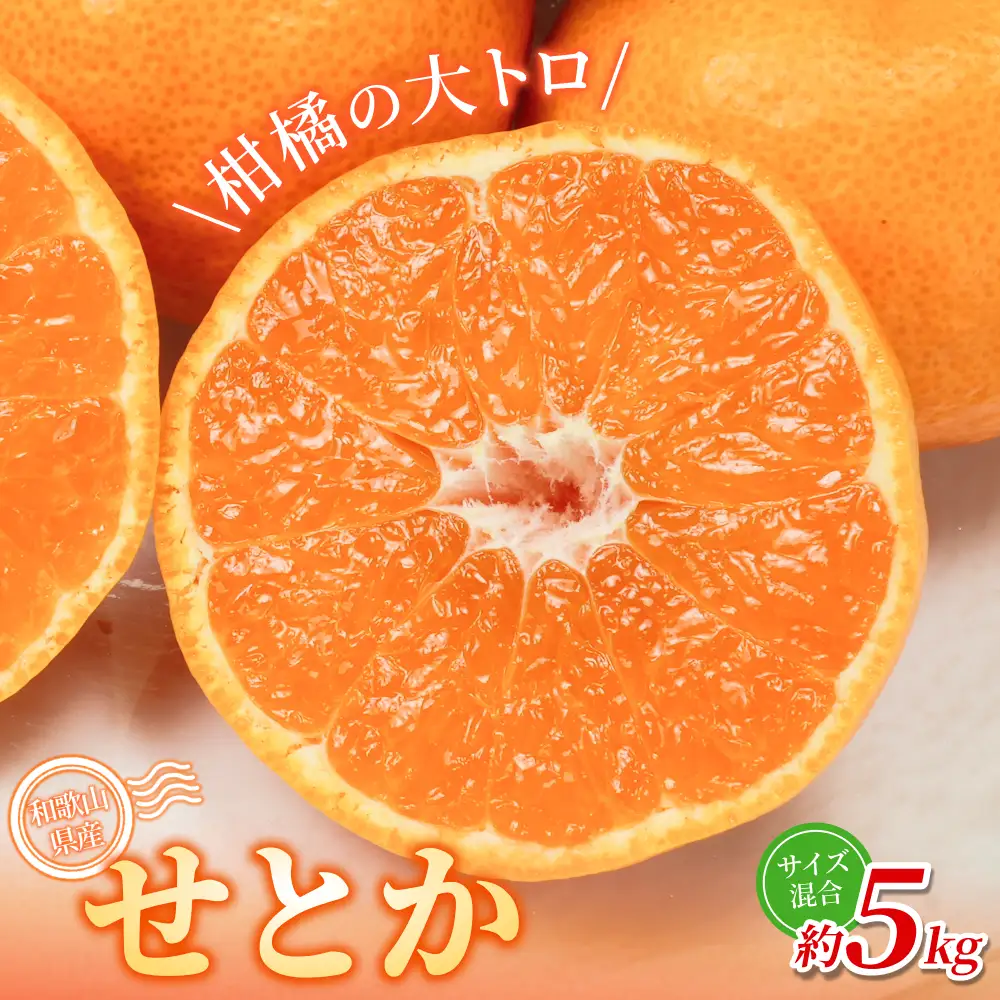 みかん せとか 森本農園 約5kg 【BV-mrmt090A】