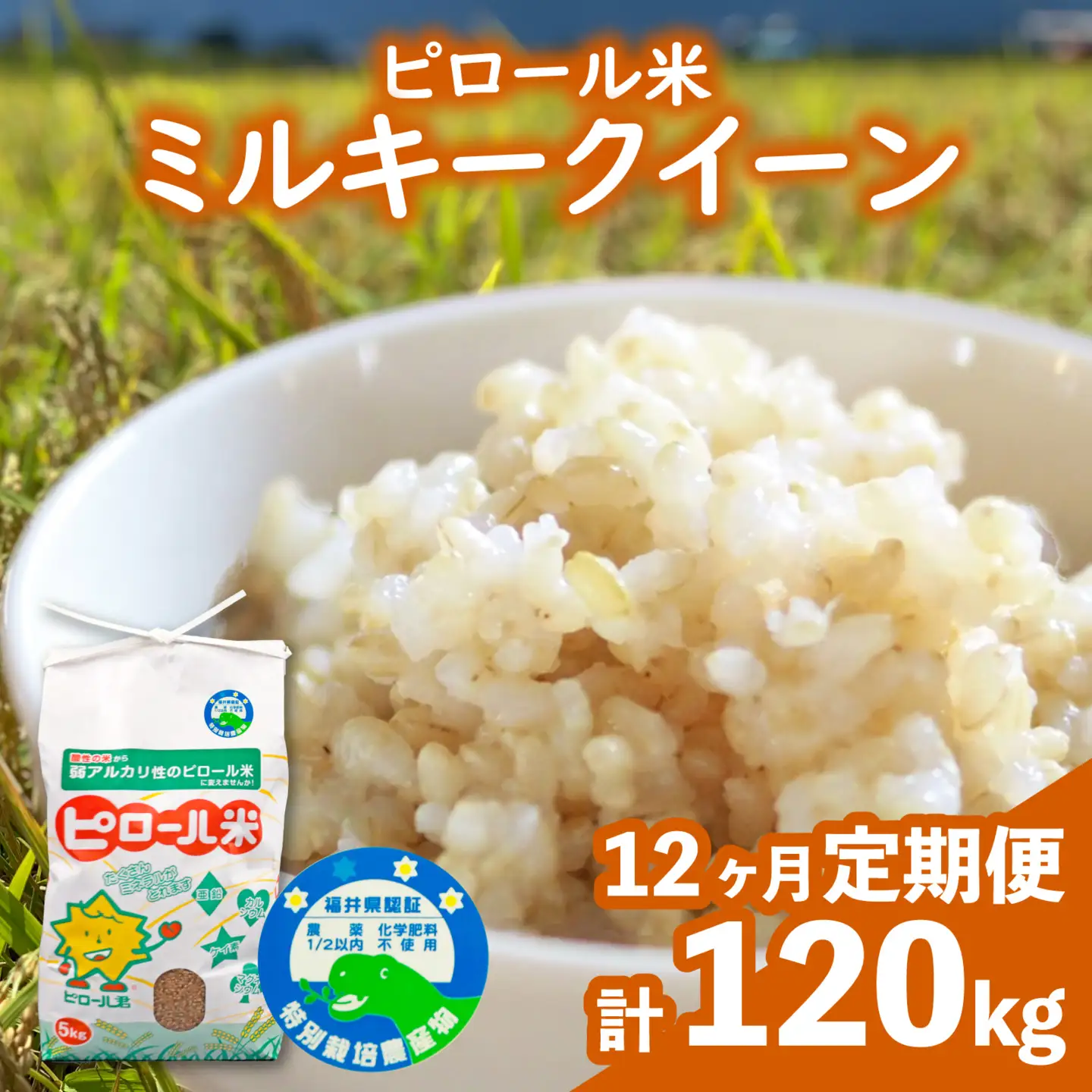 【先行予約】【令和8年産 新米】【12ヶ月定期便】ミネラル豊富！弱アルカリ性のピロール米 ミルキークイーン 玄米 10kg（5kg×2袋）× 12回　計120kg 化学肥料5割以下・減農薬