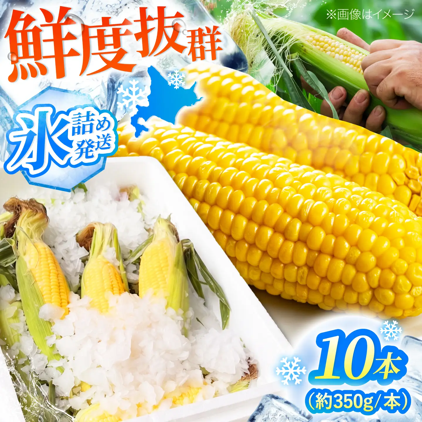 【先行予約】 氷詰めとうもろこし 恵味 10本 [BPAD004] とうもろこし