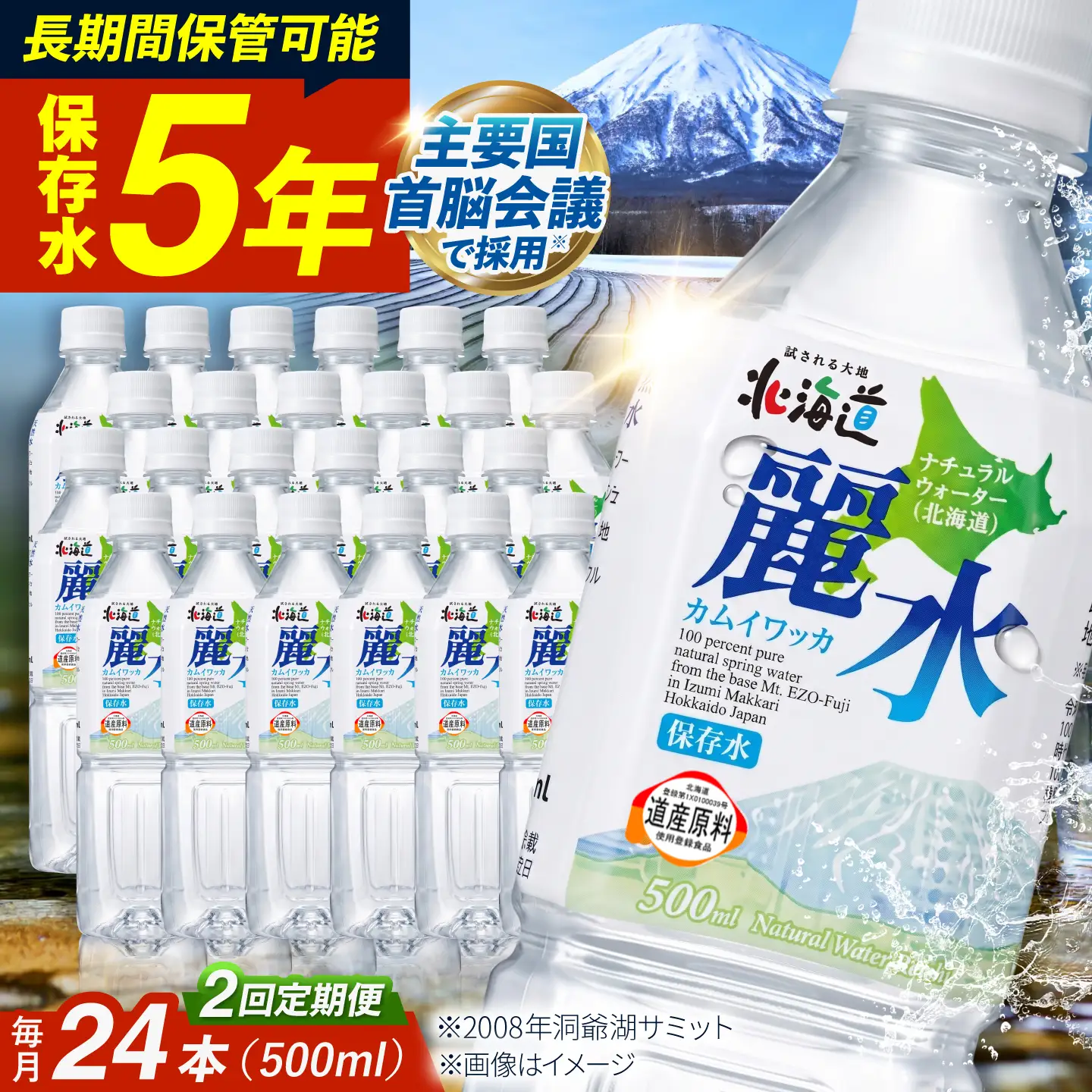 【全2回定期便】≪5年≫ 保存水 500ml×24本 [BPAI007] 保存水