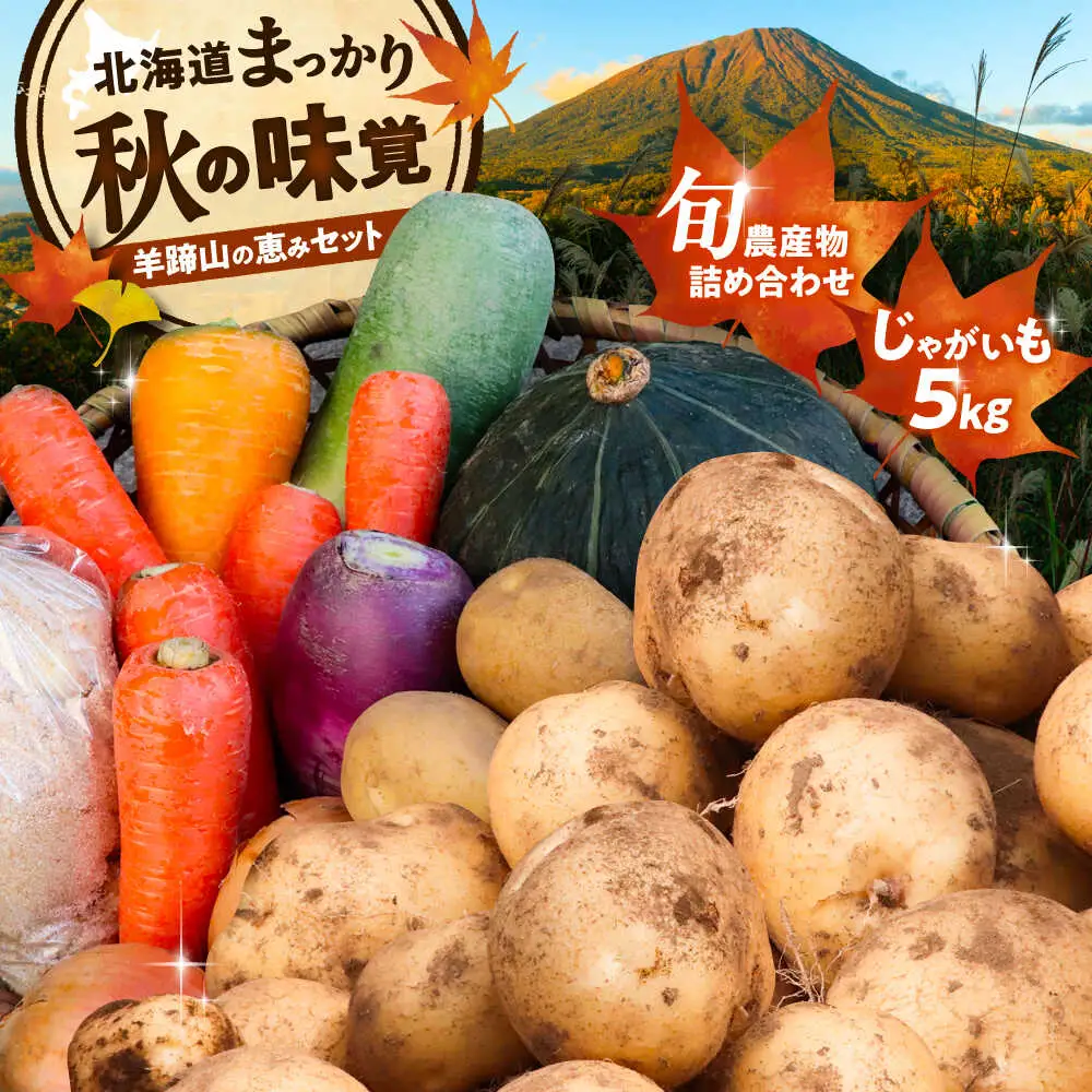 【先行予約】 秋の味覚セット [BPAM001] 野菜セット 北海道